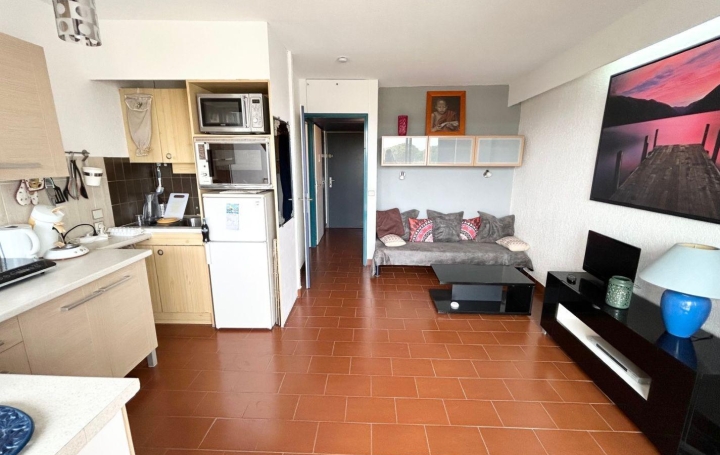  API AGENCE Appartement | LE GRAU-DU-ROI (30240) | 24 m2 | 150 000 € 
