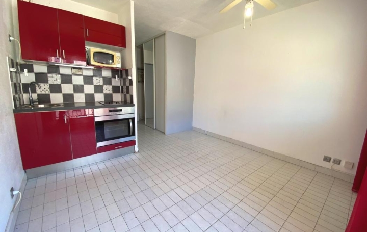 Studio   LE GRAU-DU-ROI  19 m2 84 000 € 